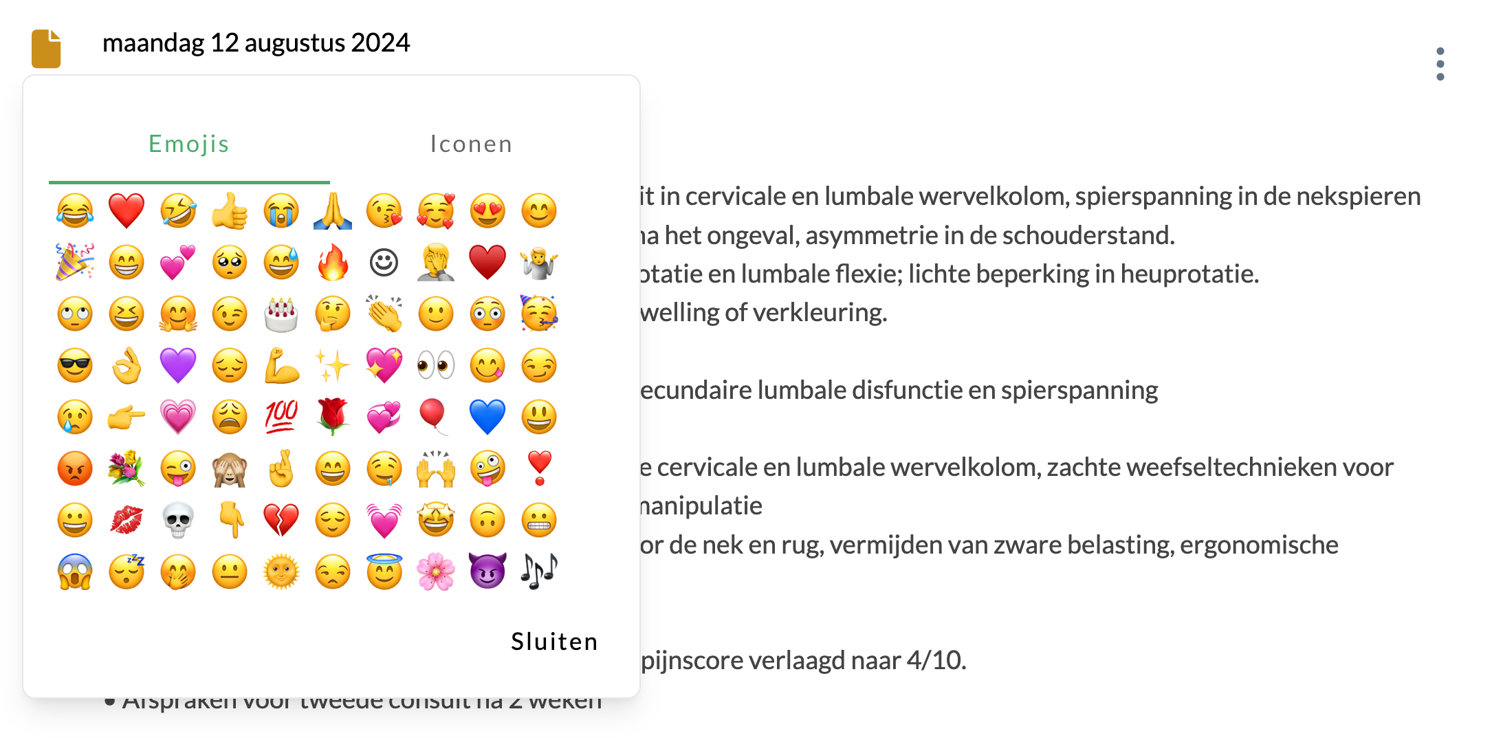 Emoji of icoon instellen